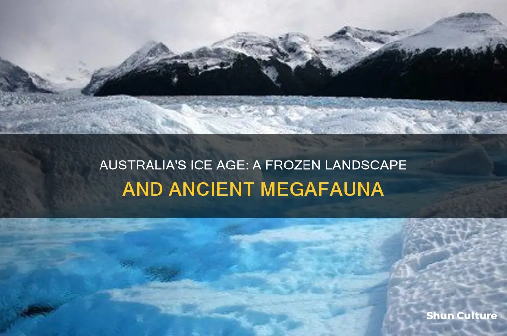 what was australia like during the ice age