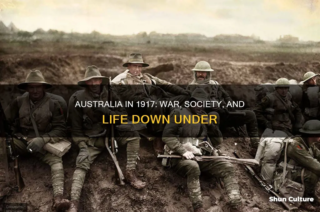 what was australia like in 1917