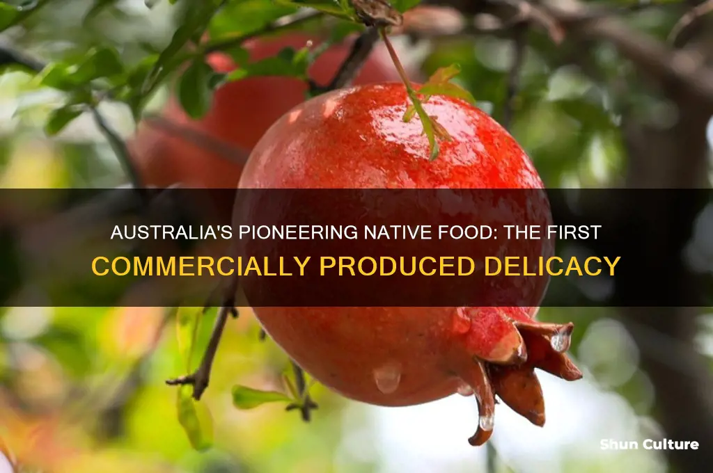 what was australia