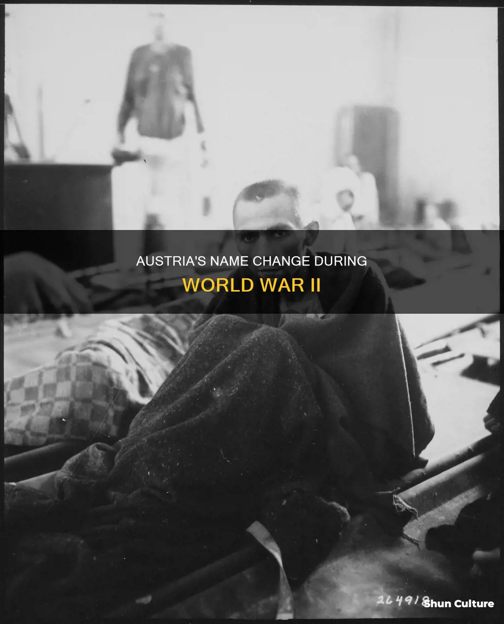 what was austria called during the second world war