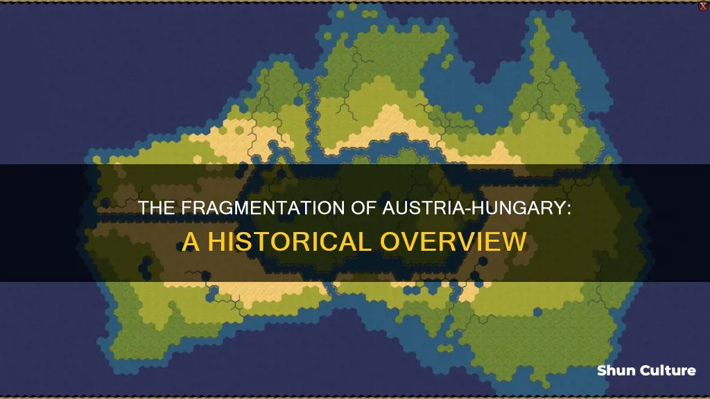 what was austria hungary broken up into