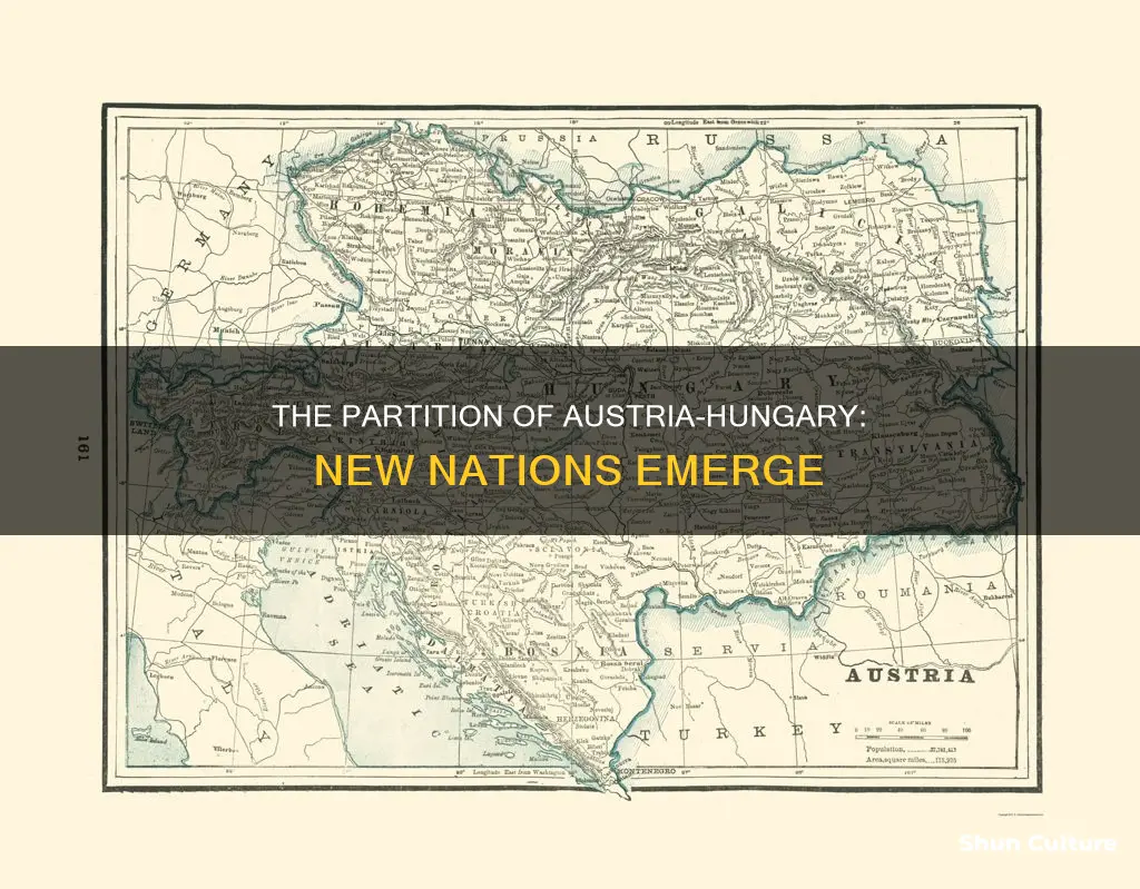 what was austria hungary divided into