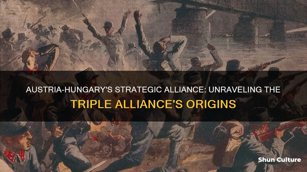 what was austria-hungary excuses for joining the triple alliance