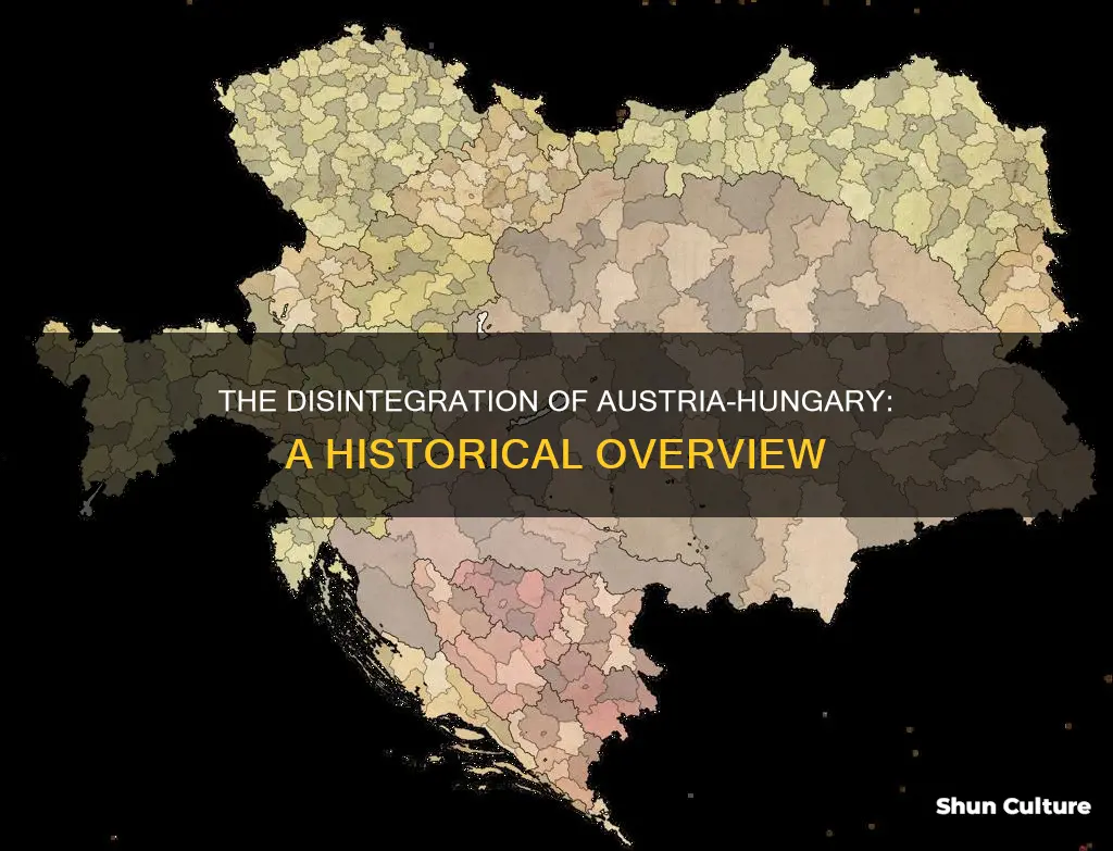 what was austria hungary made of