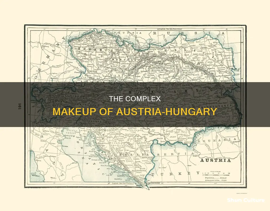 what was austria hungary made of