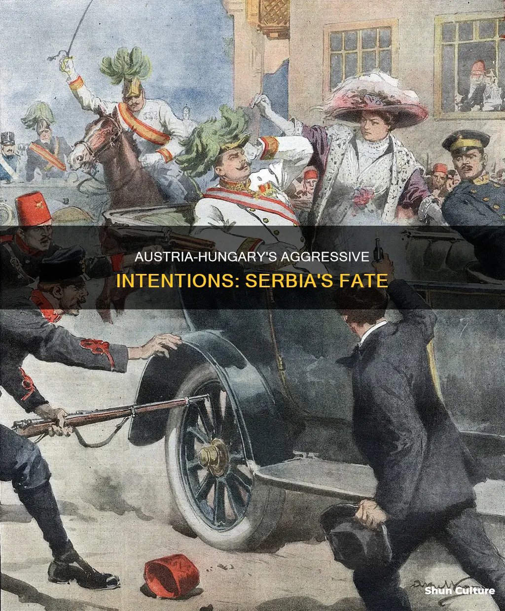 what was austria hungary plan with serbia