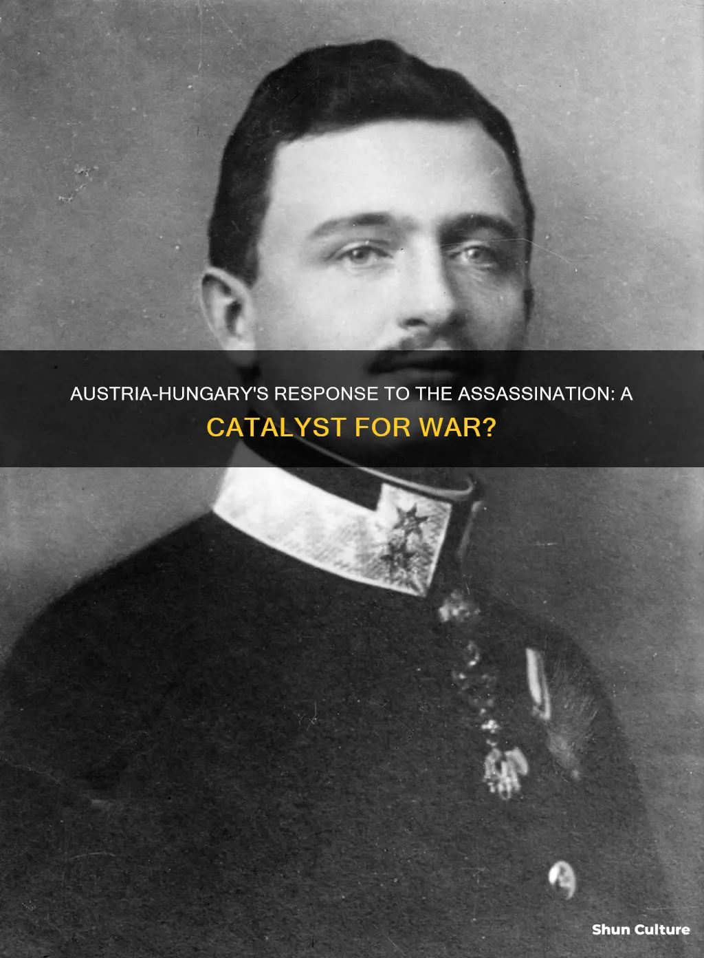 what was austria hungary response to the assassination