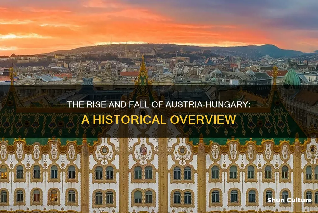 what was austria hungary