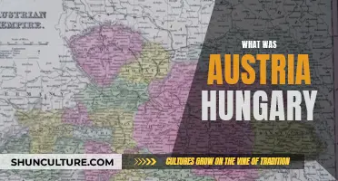 The Austro-Hungarian Empire: A Complex Dual Monarchy