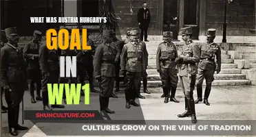 Austria-Hungary's WW1 Goals: Expansion and Security