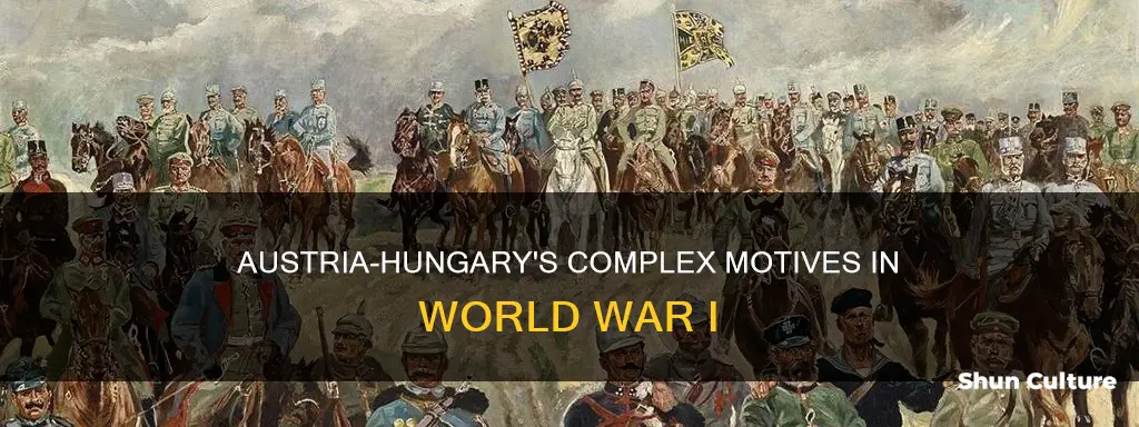 what was austria-hungarys motive in ww1