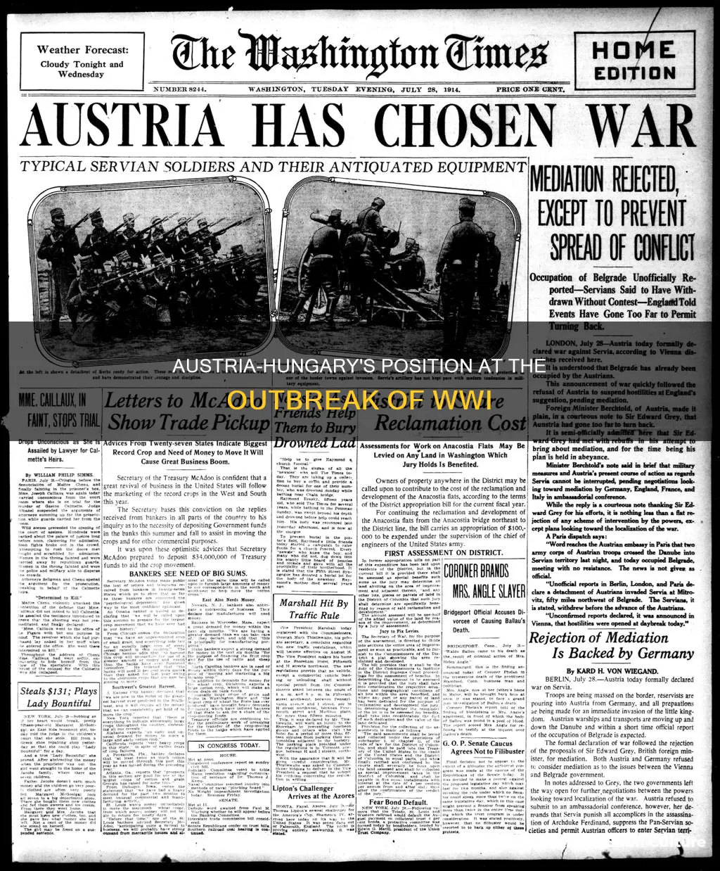 what was austria-hungary