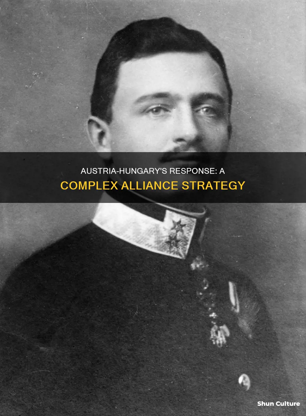what was austria hungary