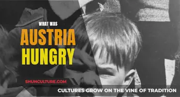 Austria's Hunger: A Historical Perspective on a Nation's Struggle