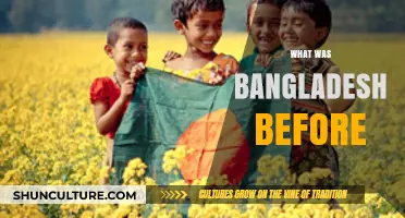 Unveiling Bangladesh's Past: A Journey Through Its Historical Identity