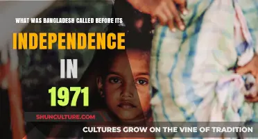 From East Pakistan to Bangladesh: Uncovering the Nation's Pre-Independence Name