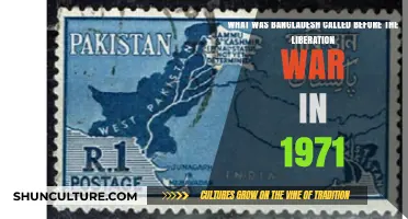 From East Pakistan to Bangladesh: The Pre-Liberation Identity Shift