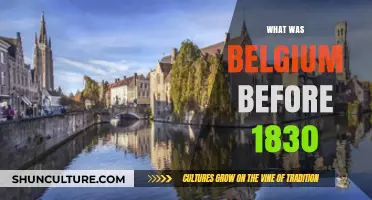 Exploring Belgium's Rich Past: A Glimpse Before 1830