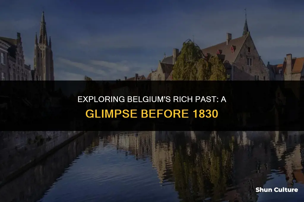 what was belgium before 1830