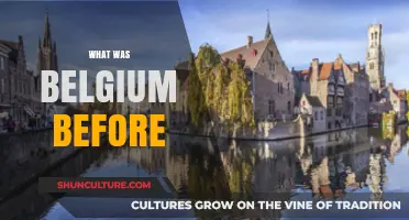 Unveiling Belgium's Rich Past: A Journey Through Time