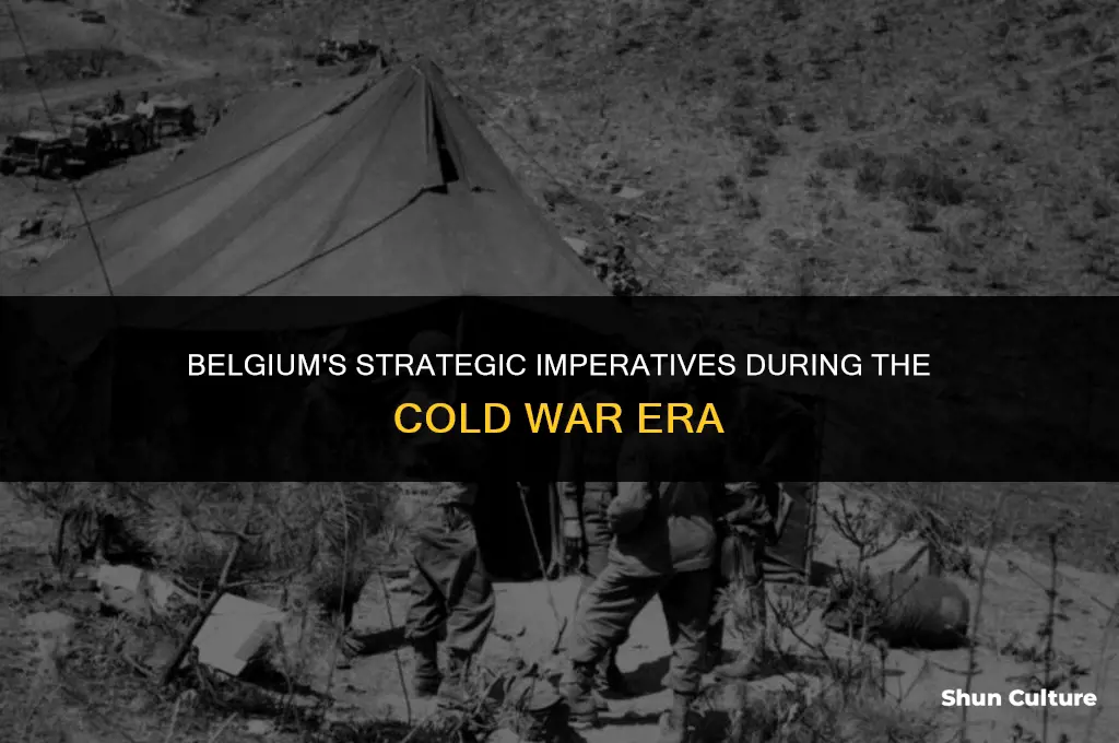 what was belgium in need of during the cold war