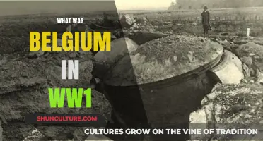 Belgium's Neutrality and the Impact of World War I