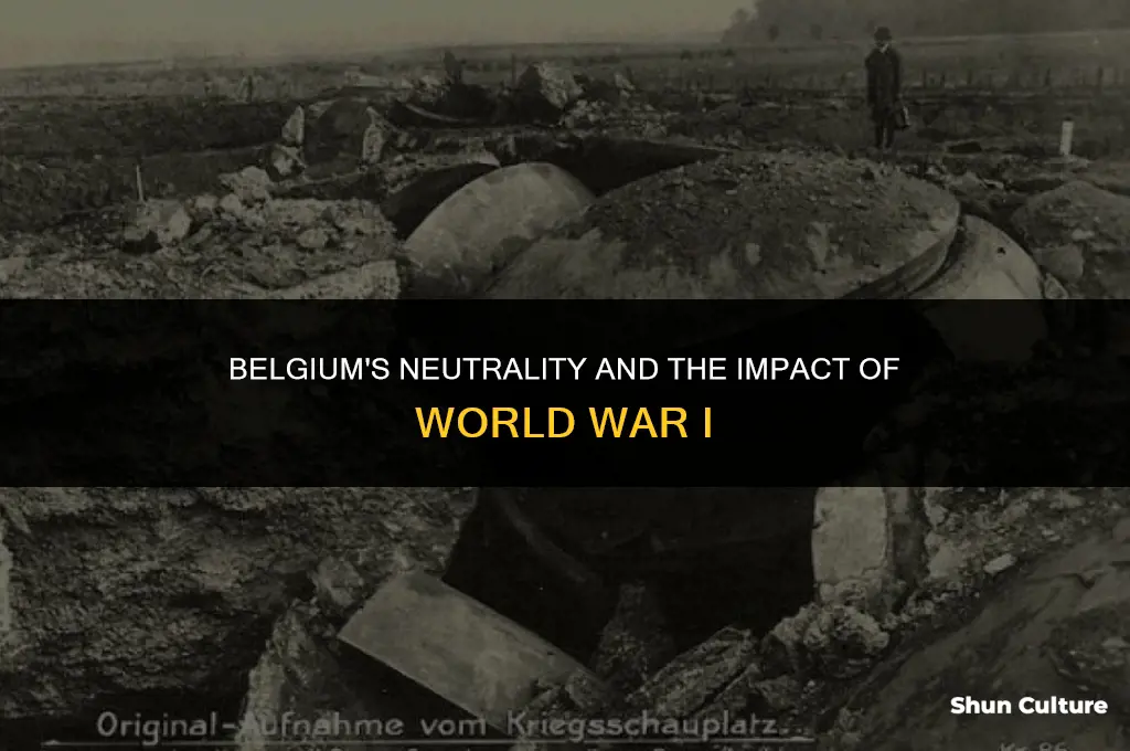 what was belgium in ww1