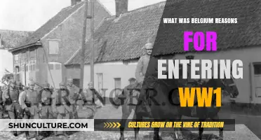 Belgium's Entry into WWI: A Complex Web of Alliances and Invasions
