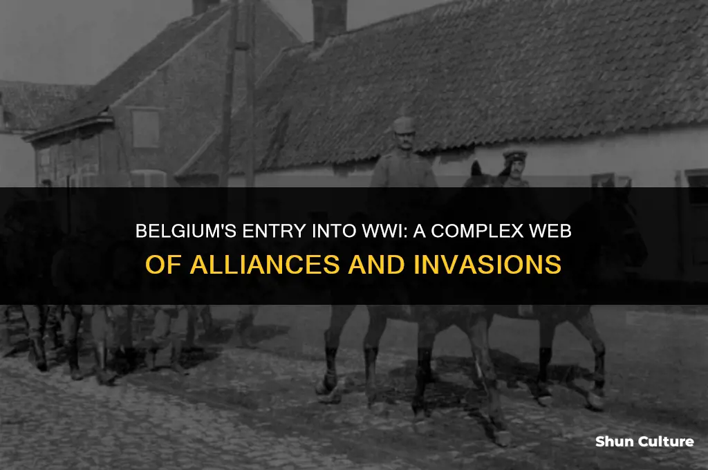what was belgium reasons for entering ww1