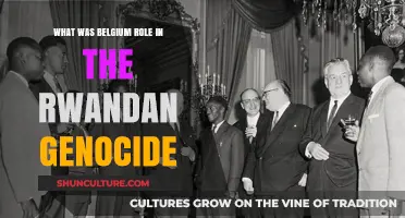 Belgium's Complex Role in the Rwandan Genocide: A Historical Analysis