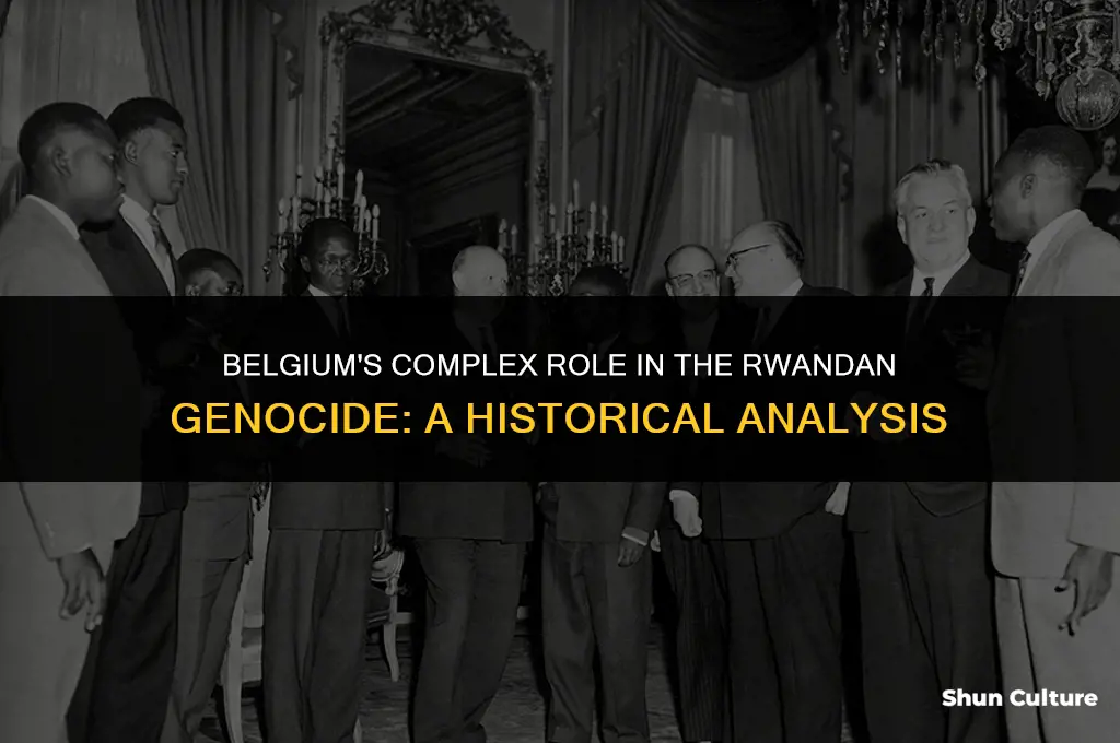 what was belgium role in the rwandan genocide