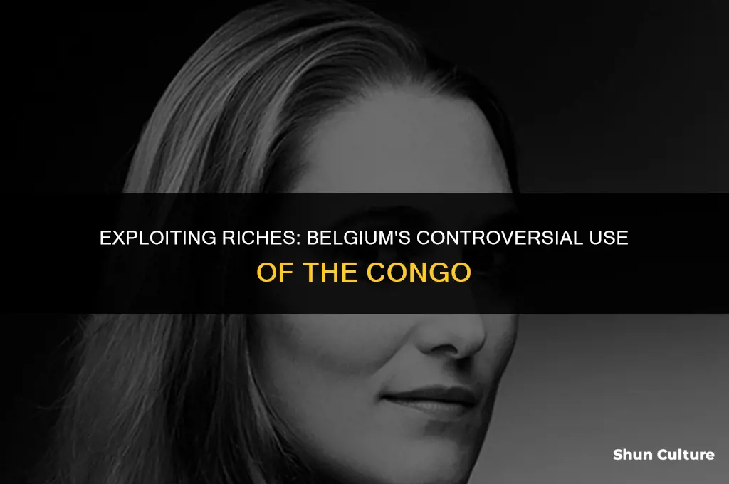 what was belgium using the congo for