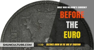 From Francs to Euros: Belgium's Currency Evolution