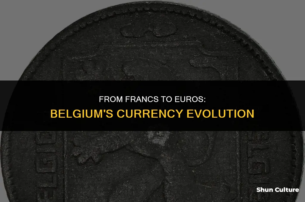 what was belgium