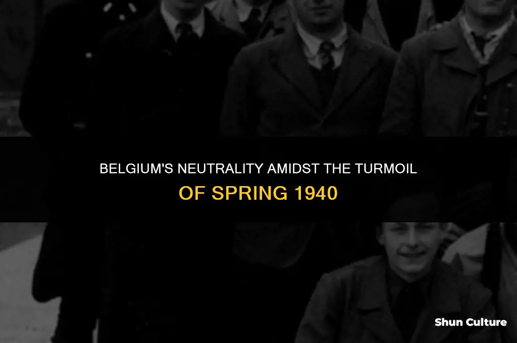 what was belgium