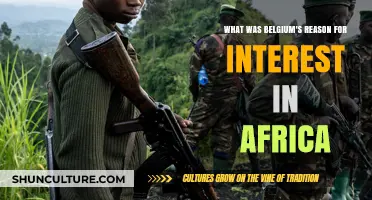 Exploring Belgium's Historical Interest in Africa: A Colonial Legacy
