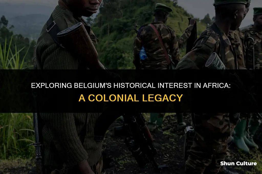 what was belgium