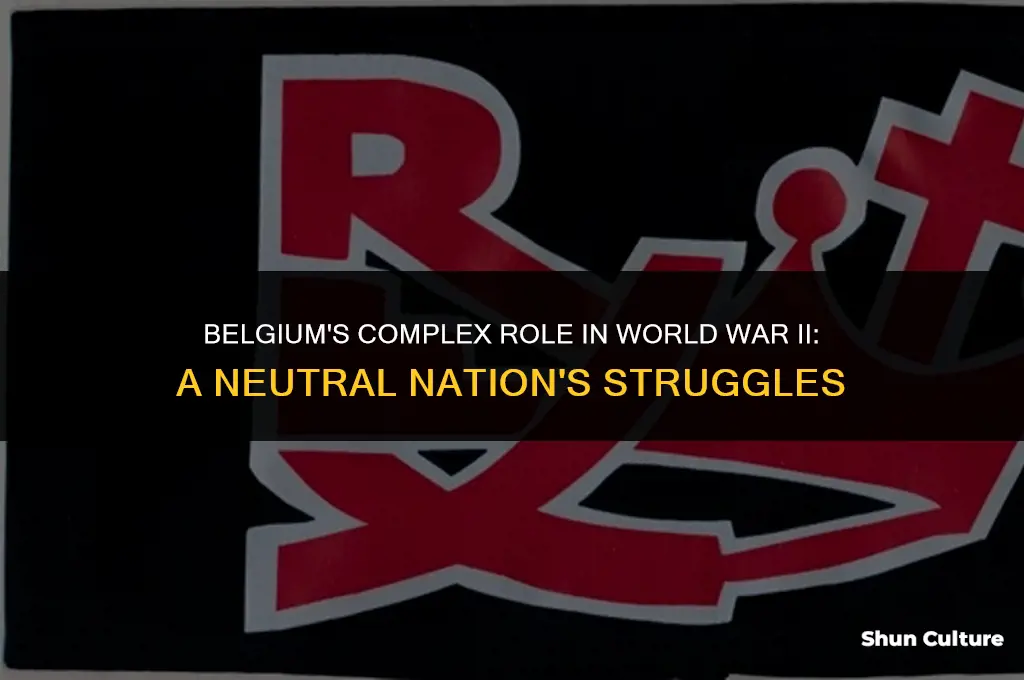 what was belgium