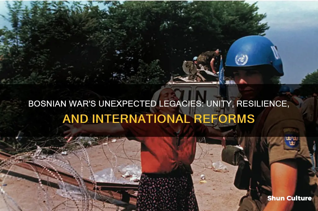 what was beneficial about the bosnian war