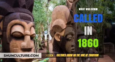 Exploring Benin's Historical Roots: A Journey Back to 1860