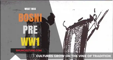 Bosnia Before World War I: A Nation on the Brink of Change