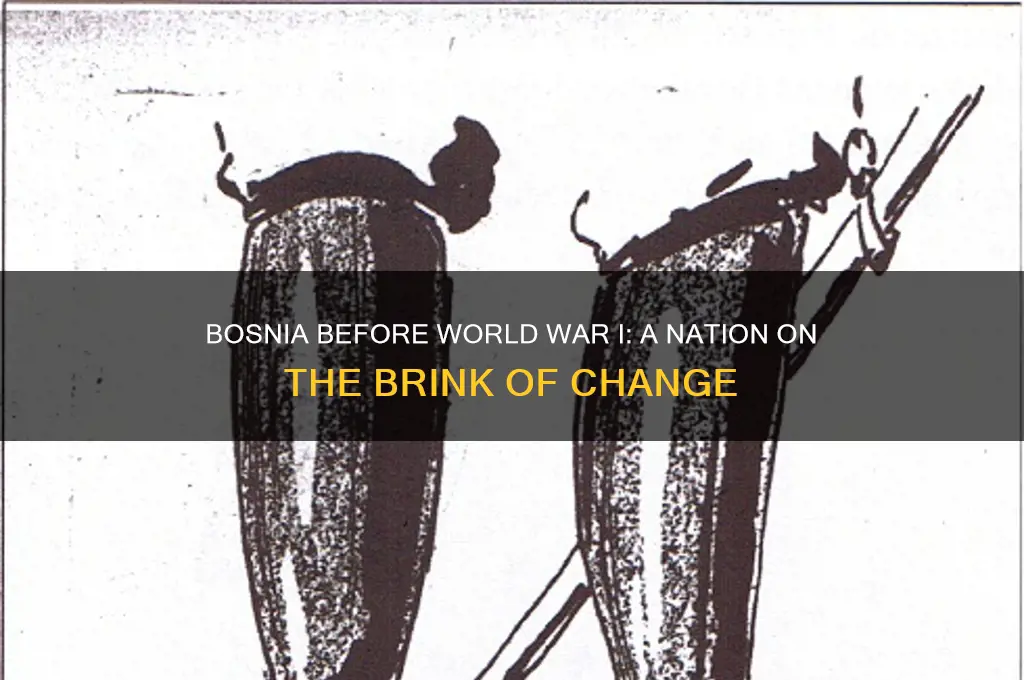 what was bosni pre ww1