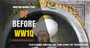 Bosnia's Pre-WW1 History: Which Empire Claimed It Before the War?