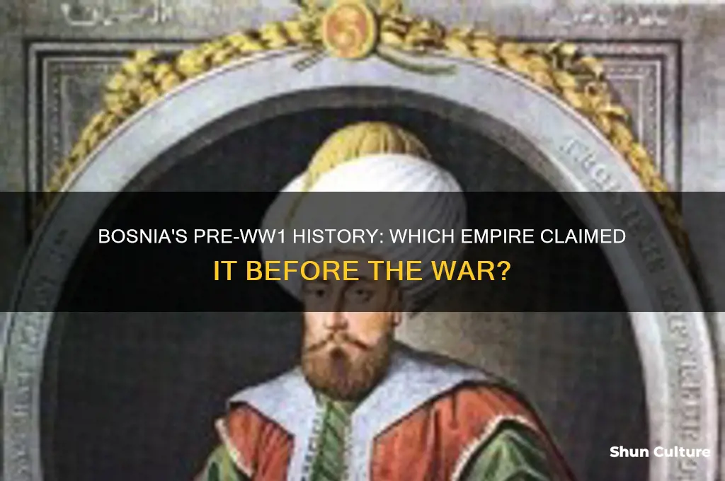 what was bosnia a part of before ww1q