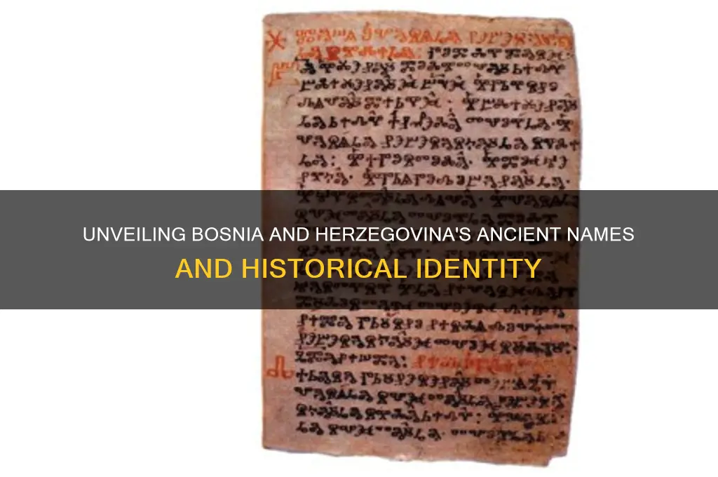 what was bosnia and herzegovina called before