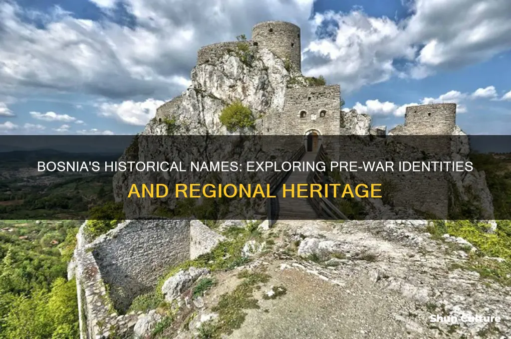 what was bosnia called before the war