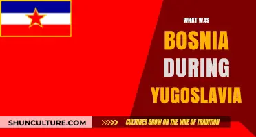 Bosnia's Role and Identity Within the Yugoslav Federation Explained