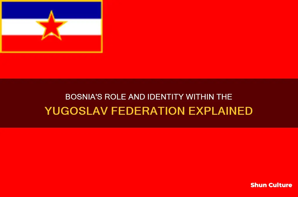 what was bosnia during yugoslavia