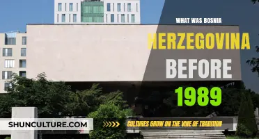 Bosnia and Herzegovina's Pre-1989 History: A Journey Through Time