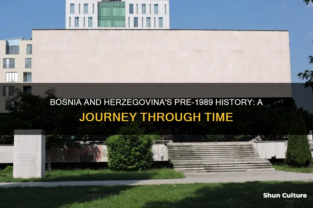 what was bosnia herzegovina before 1989